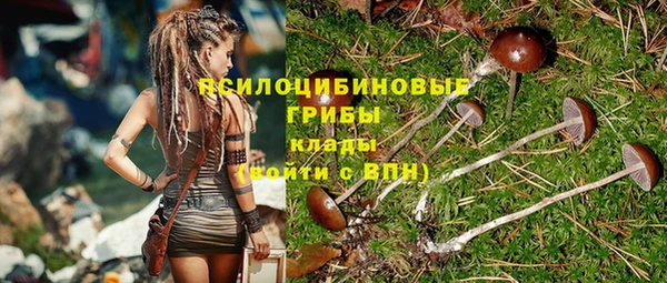 прущий лед Алексеевка