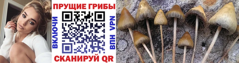 Псилоцибиновые грибы ЛСД Волоколамск